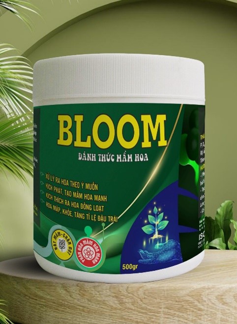 BLOOM - XỬ LÝ RA HOA