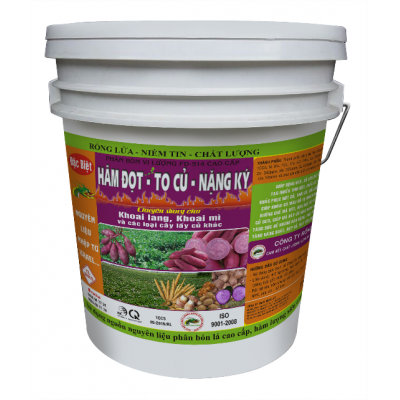 HÃM ĐỌT – TO CỦ - NẶNG KÝ-KHOAI LANG-KHOAI MÌ – 20 KG