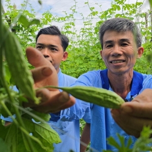 NÔNG DÂN THOÁT NGHÈO NHỜ NẮM VỮNG THÔNG TIN THỊ TRƯỜNG