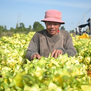 THANH LONG LÂM ĐỒNG HƯỚNG TỚI GIẢM PHÁT THẢI