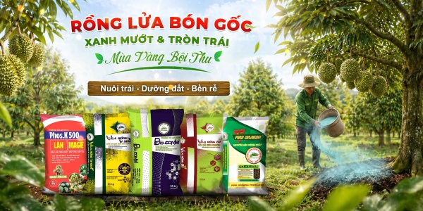 test 1