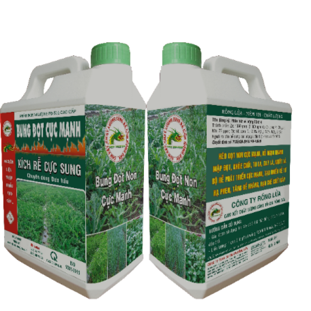 BUNG ĐỌT CỰC MẠNH – 5 LÍT RAU MÀU