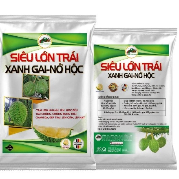 SIÊU LỚN TRÁI XANH GAI NỞ HỘC – 500GR