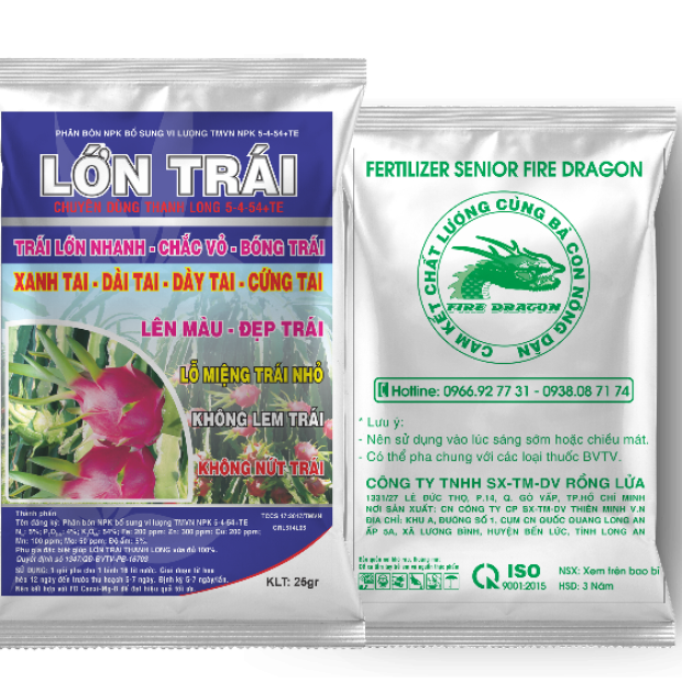 LỚN TRÁI – 25GR
