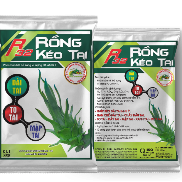 R32 RỒNG KÉO TAI -30GR