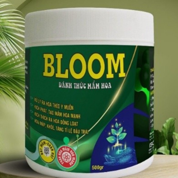 BLOOM  - 500GR SẦU RIÊNG