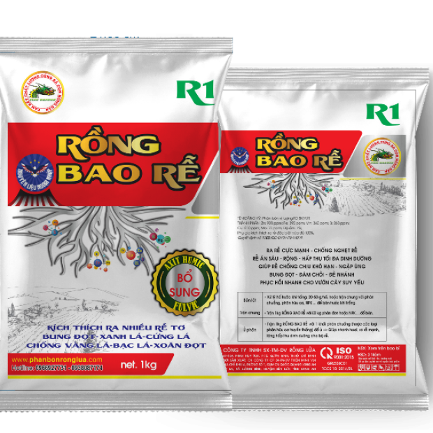 RỒNG BAO RỄ - 1KG