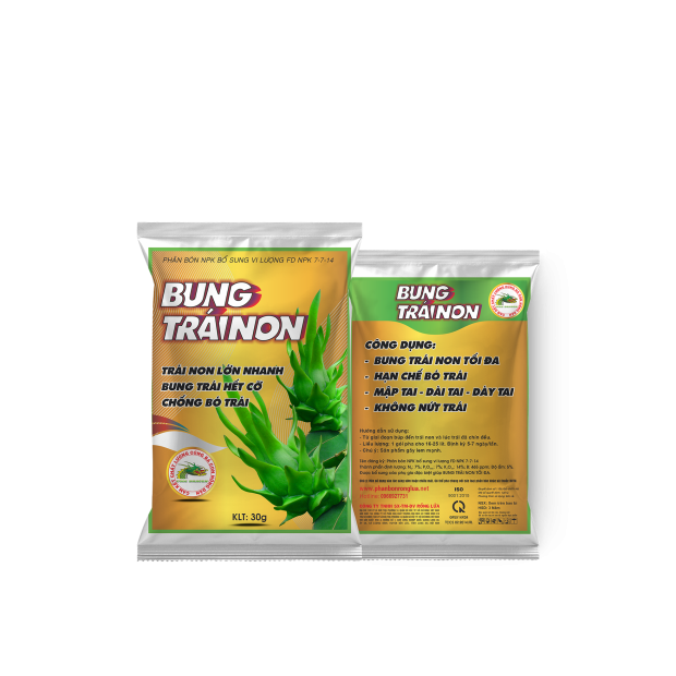 BUNG TRÁI NON – 30GR