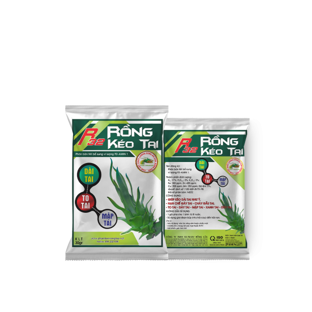 R32 RỒNG KÉO TAI -30GR