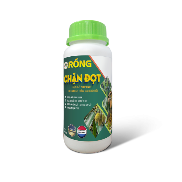 RỒNG ĐỐT ĐỌT – 500ML 