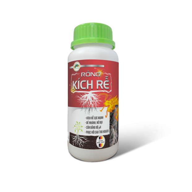 RỒNG KÍCH RỄ - 500ML