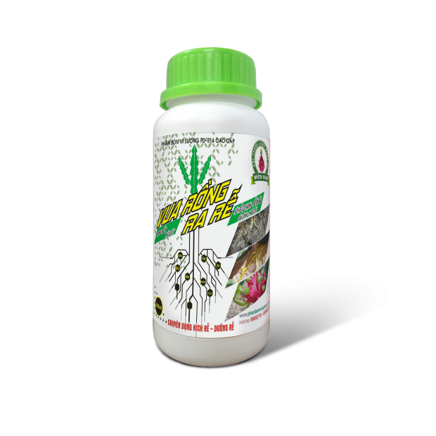 VUA RỒNG RA RỄ - 500ML THANH LONG