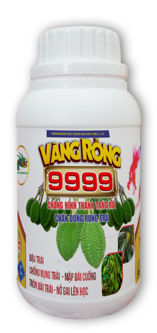 VÀNG RỒNG 999