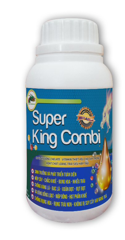 SUPER KING COMBI